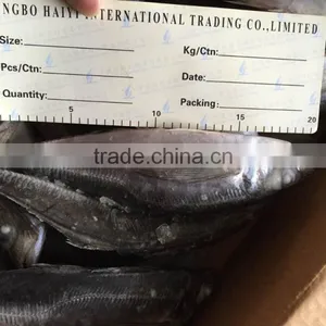 Horse Mackerel 20cm+ 2016 Seafrozen thumbnail-6
