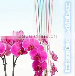 Thick Bamboo Sticks thumbnail-1