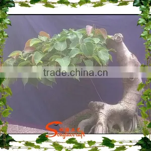 Mini Artificial Plastic Banyan Tree 7ft Fake Curved Trunk for Home Decoration thumbnail-5