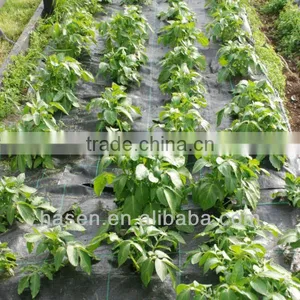 White pp Fabric for Agriculture Cover thumbnail-2