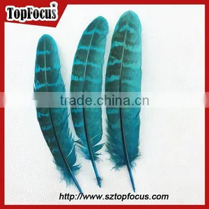Reeves Cheap Natural Pheasant Tail Pheasant Feather for Sale thumbnail-1