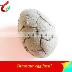 Exhibit Dinosaur Egg Model Dinosaur Egg Fossils thumbnail-1