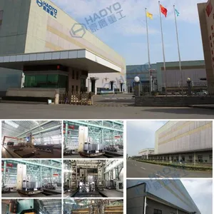 Shanghai Haoyogroup company overview - view 1 thumbnail