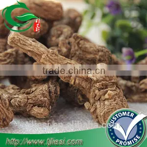 Supply Angelica Not Extract thumbnail-1
