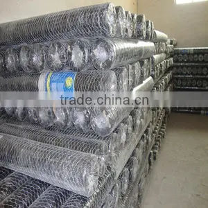 Gold Supplier Hexagonal Wire Netting(ISO and SGS) thumbnail-5