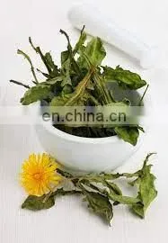 Pure Dried Dandelion Leaves for Herbal Tea/ Organic Pure Dried Dandelion Leaves From Vietnam thumbnail-5
