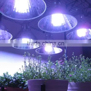 Top Quality Reptile Uvb Light Compact Fluorescent Lamp for Reptile Cage Supplies thumbnail-5