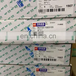 Genuine and Original Yuchai YC6A220C Marine Diesel Engine Parts thumbnail-4