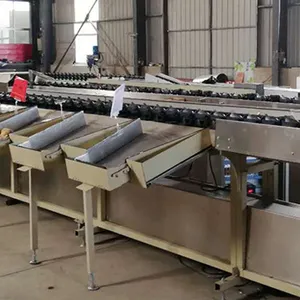 Dragon Fruit Sorting Grading Machine Sorter Grader Machine Line Classifying Machines thumbnail-5