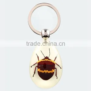 2016 New Spide Keychain With Real Insect thumbnail-5