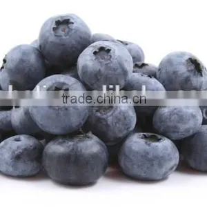 2015 New Blueberry thumbnail-2