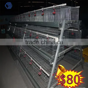 Commercial Chicken House Sale for Layers thumbnail-1