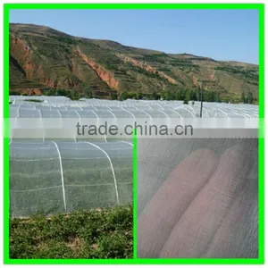 Suntex Large Size Agricultural Greenhouses Type Anti Insect Netting Plastic Bird Mesh thumbnail-4