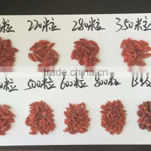 Food Distributors for Wholesale Organic Food, Goji Berry thumbnail-3
