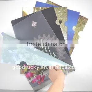 Factory Directly Selling Bulk Plastic File Folder /A4 PP Folder /pp File Folder thumbnail-1