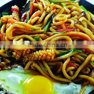 Japanese Udon Noodle thumbnail-2