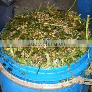Animal Feeding - Corn Silage thumbnail-1
