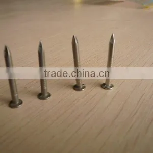 Nails thumbnail-1