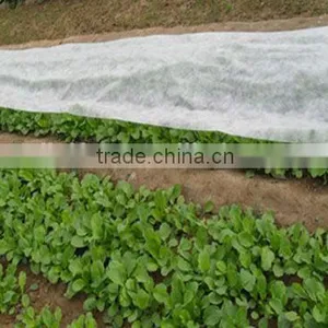 [FACTORY]PP Spunbond Non Woven Fabric (roll) With Spunbond and Anti-UV (nonwoven/non-woven) thumbnail-2