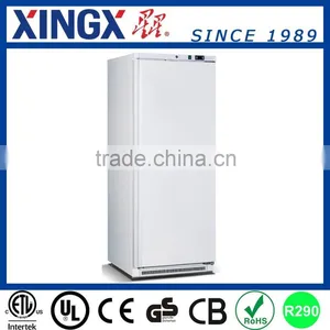 Commercial Freezer,upright Freezer 600L_BD-600W thumbnail-1