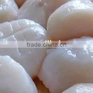 Frozen Shell Meat Scallop Meat thumbnail-3