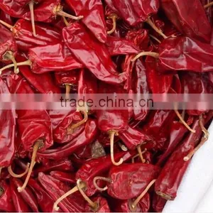 Chilli thumbnail-2