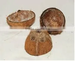 High Quality Cheap Kangayam Coconut Shell thumbnail-1