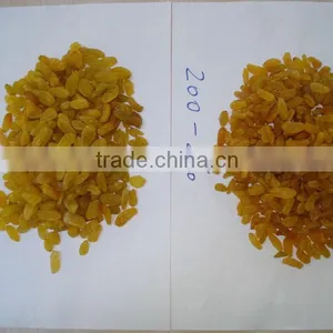 Dried Golden Raisin, AAA Grade thumbnail-1