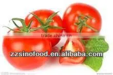 Canned Food Canned Tomato Paste Brix 28-30% With Net Weight 400g thumbnail-1