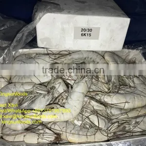 High Quality HOSO Vannamei,Shrimp Vannamei From India thumbnail-4