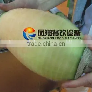 China Made Industrial Powerful FXP-66 Melon Skin Peeling Machine thumbnail-6