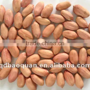 Chinese New Crop Peanuts (24/28) thumbnail-1