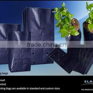 Seedling Bag thumbnail-3