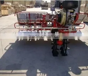 Hot Sale Low Price Weifang Taishan Twin-wheel Rice Transplanter thumbnail-1