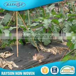 Hot Selling Products Polypropylene Plastic Agriculture Black Film thumbnail-2