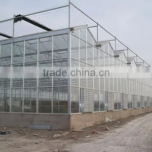 Brand New Glass Greenhouse for Sale thumbnail-1
