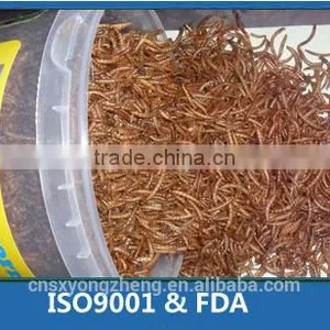 Freeze Dried Mealworms ;Good Quality Dried Mealworms ; Mealworms for Birds thumbnail-1