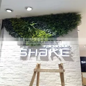 2017 China Wholesale China PVC Vertical Green Wall and Plant Wall thumbnail-4