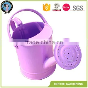 Metal Garden 4L Watering Can thumbnail-2