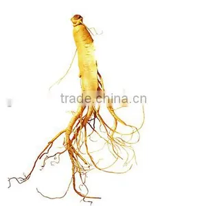 Chinese Ginseng Slimming Tea 2g *20 Bags /box Green Tea With Ginseng Slimming Tea Bags OEM to USA England Canada Australia thumbnail-3
