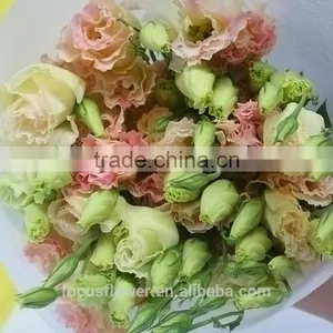 Export Direct Chinese Type Eustoma Wholesale thumbnail-5