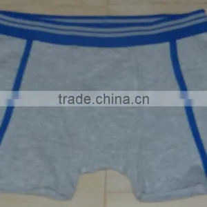 Boxer thumbnail-4
