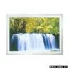 Sell Motion Picture thumbnail-1