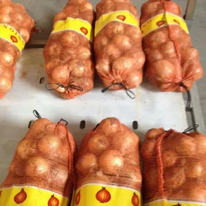 Fresh Yellow Onion in 25kg/Mesh Bag thumbnail-5