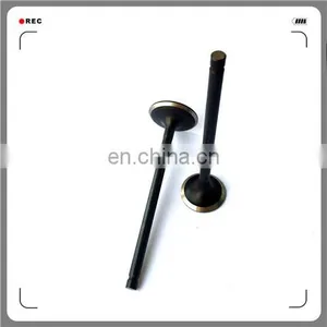 Oem 4A13-1007011 4A13-1007017 Engine Valve for 4A15 thumbnail-2