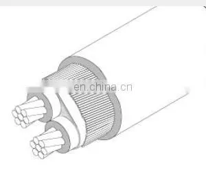China Best Price BS7870 PVC Concentric Cable thumbnail-5