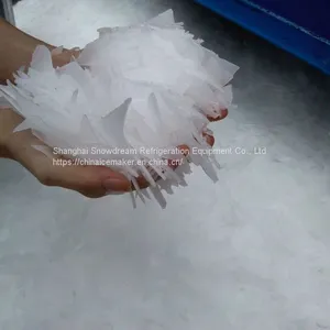 QQ图片20200831141528
