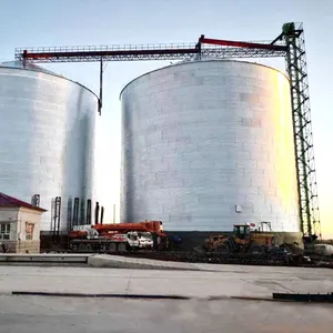 Flat-bottom Silo thumbnail-5