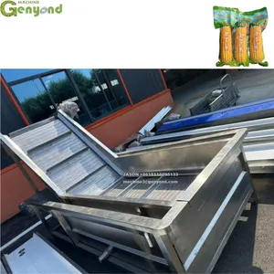 Industrial Automatic Customized Fresh Corn Processing Production Line thumbnail-2