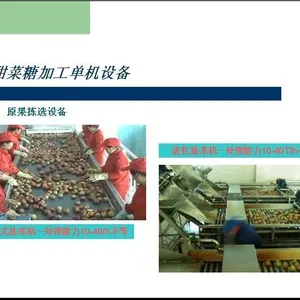 Shanghai Factory China Sugarcane & Sugar Beet Processing Machine Production Line Plant to Make White Crystal Sugar & Brown Sugar thumbnail-4